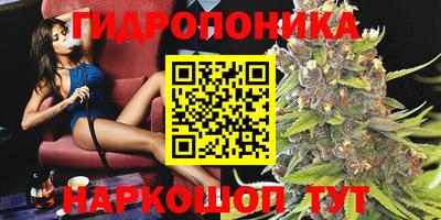 гашик Партизанск