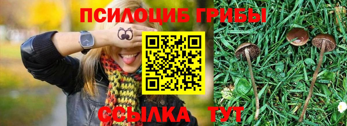 Галлюциногенные грибы прущие грибы  Галлюциногенные грибы Psilocybe  Солнечногорск  дарнет шоп  Вход с VPN 